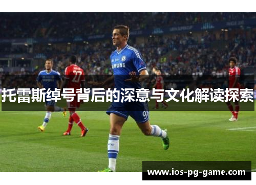 托雷斯绰号背后的深意与文化解读探索