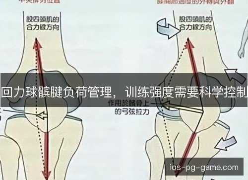 回力球髌腱负荷管理,训练强度需要科学控制 回力球髌腱负荷管理,训练强度需要科学控制