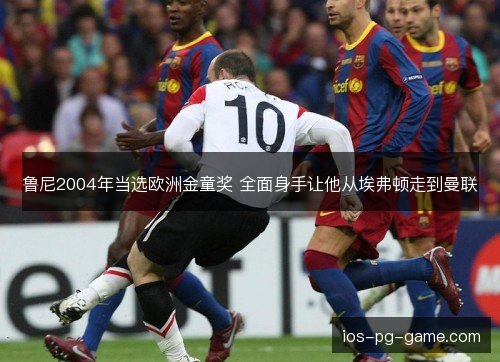 鲁尼2004年当选欧洲金童奖 全面身手让他从埃弗顿走到曼联